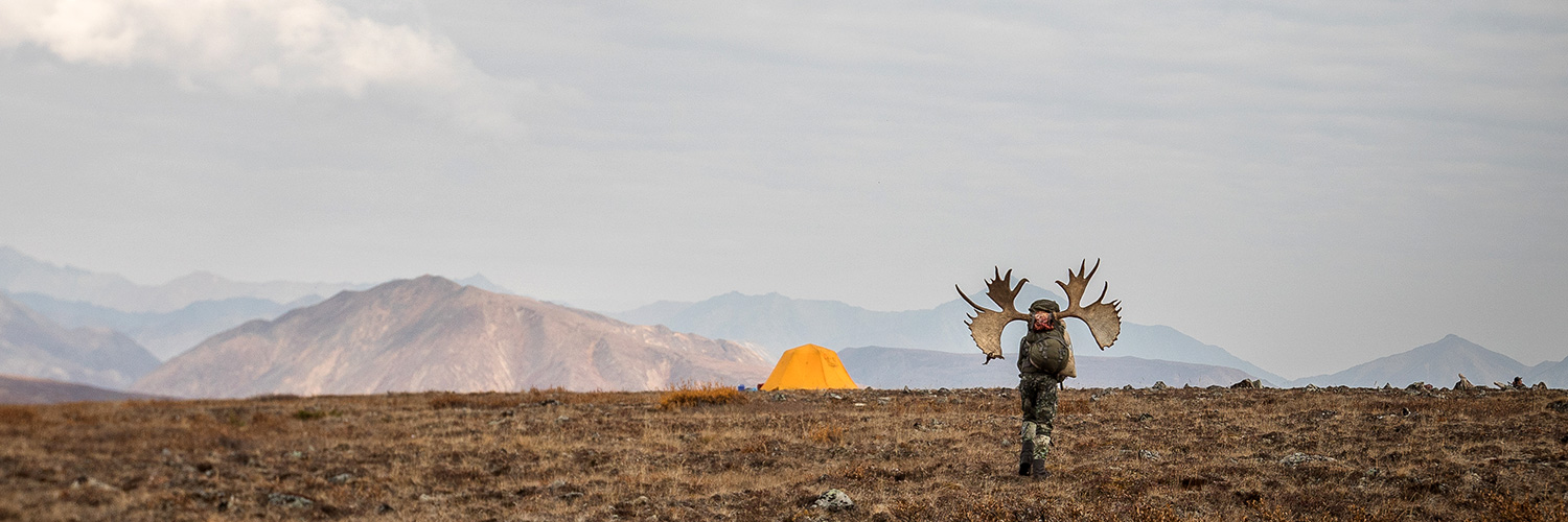 Alaskan Moose Packout