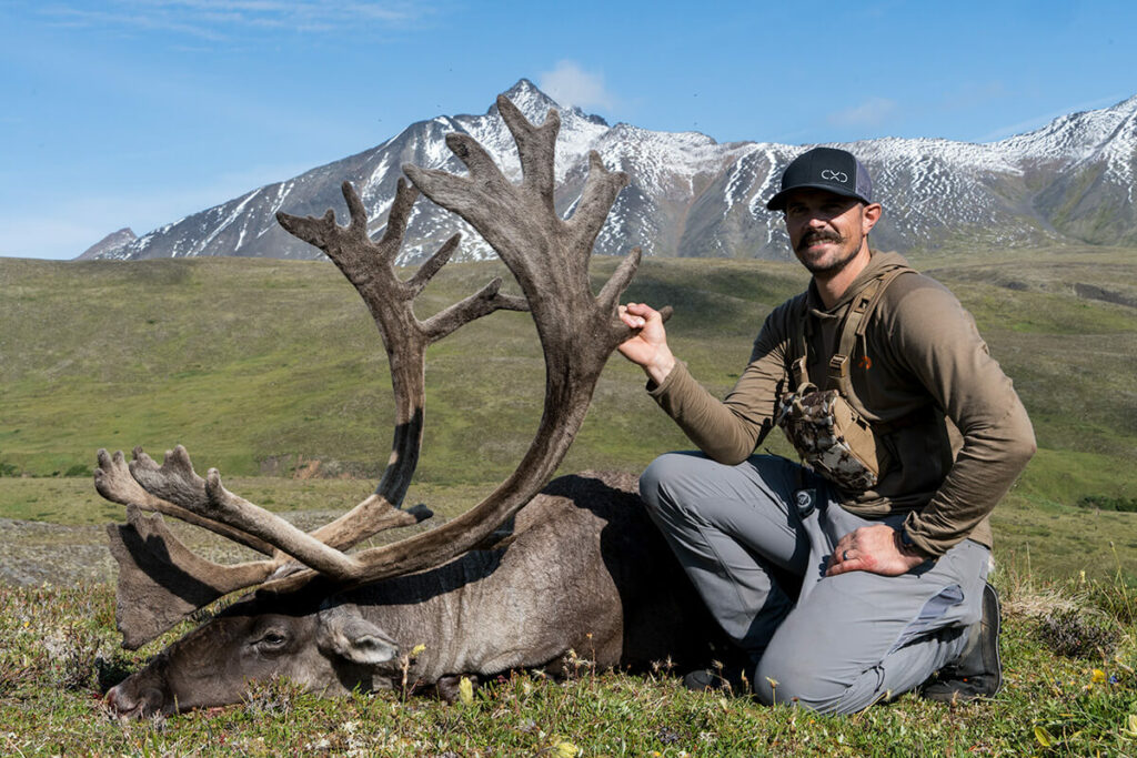 Justin's Caribou Bull