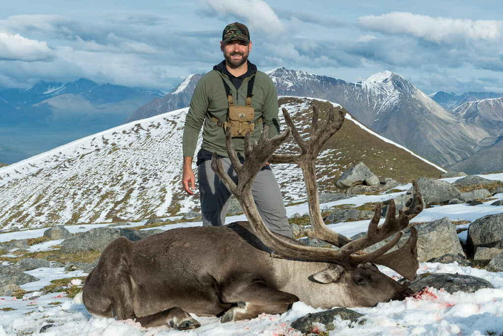 Steve's Caribou Bull