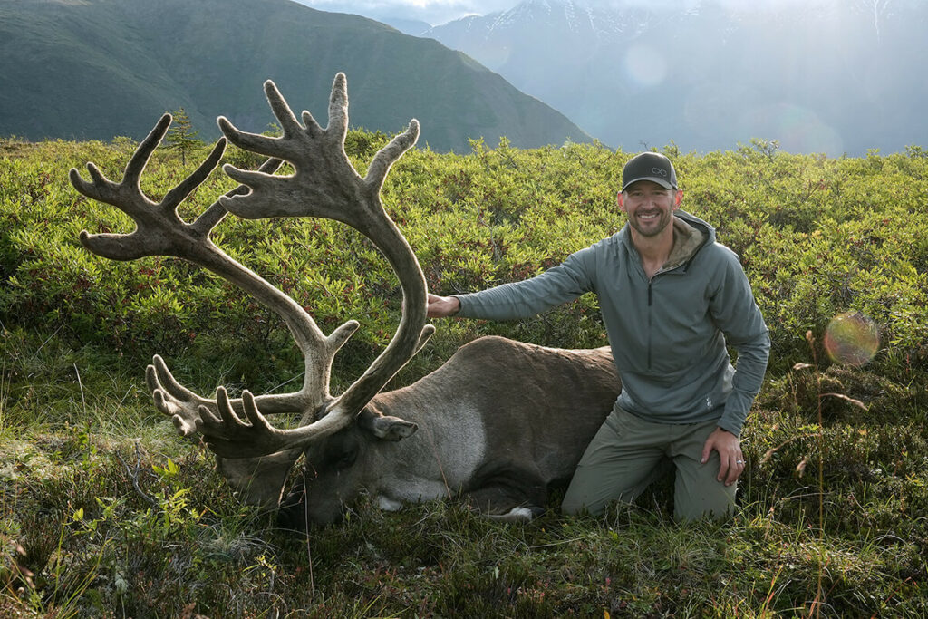 Jeff's Caribou Bull