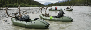 Packrafts Loaded with Caribou