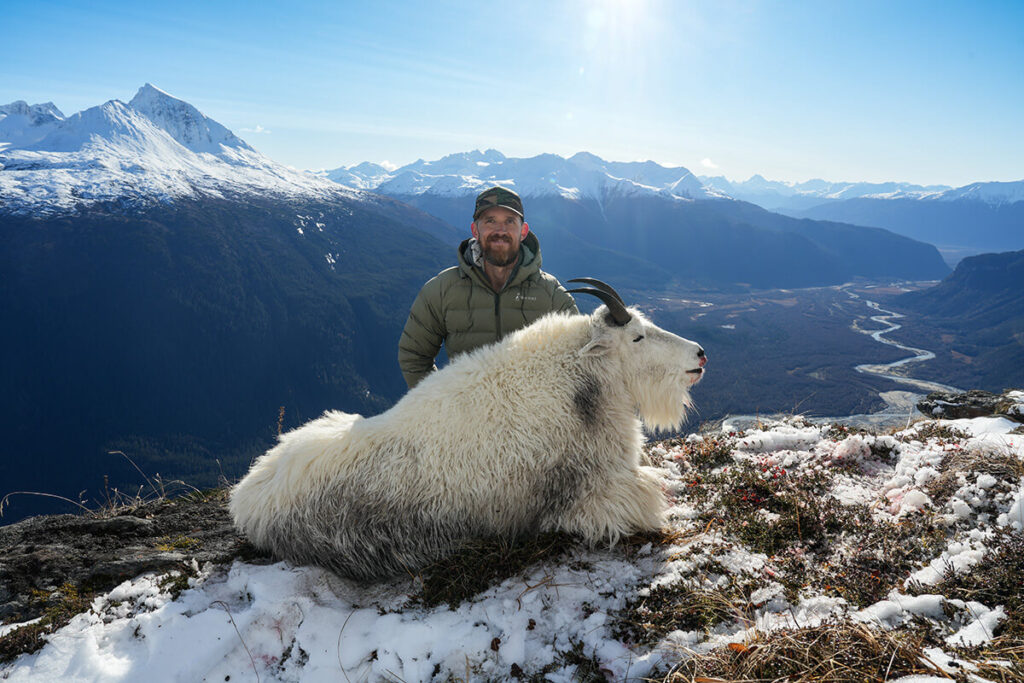 Mark's Alaskan Mountain Goat