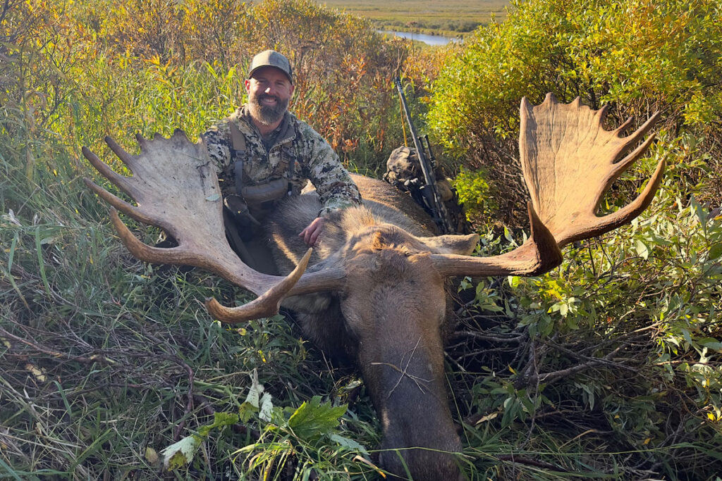 Dan's Alaskan Moose