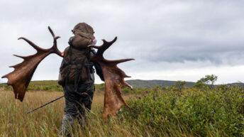 Steve Packing Out His Alaskan Yukon Moose