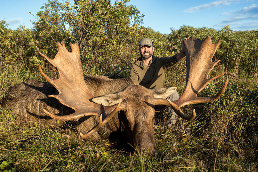 Steve's Alaskan Moose