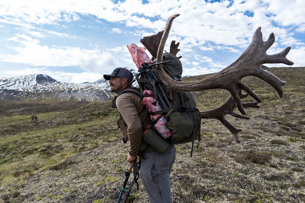 Justin packing his caribou in Alaska