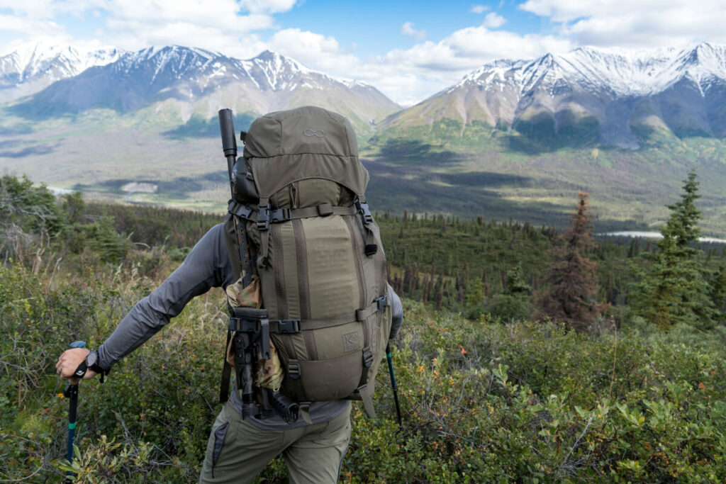 Taking in the Alaskan View