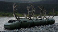 Alpacka Rafts Loaded with Caribou in Alaska