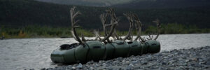 Alpacka Rafts Loaded with Caribou in Alaska